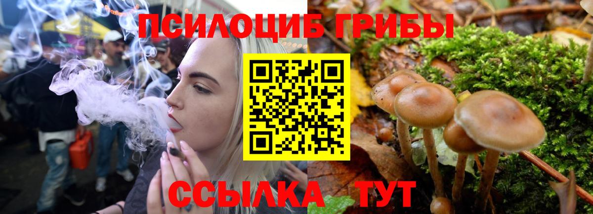 Галлюциногенные грибы ЛСД  Псилоцибиновые грибы Cubensis  Вход с VPN  Острогожск 